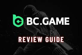 Maximizing Your Wins A Comprehensive Guide to BC.Game Crash Strategy