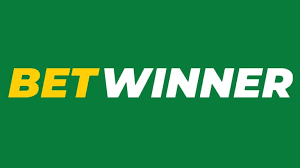 BetWinner Bookmaker A Comprehensive Guide to Winning Bets
