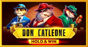 Bruce Bet Casino - Der ultimative Bonus für deutsche Spieler entdecken - overview