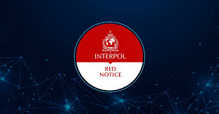 Understanding the Role of Interpol Defense Lawyers 1346063910