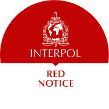 Understanding the Role of Interpol Defense Lawyers 1346063910