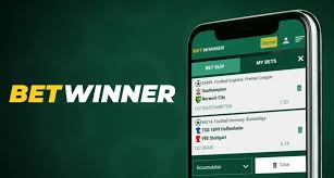 Exploring the Exciting World of BetWinner Casino