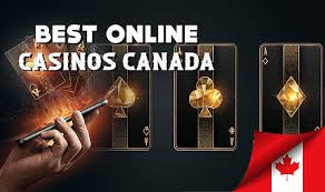 Top Online Casinos in Canada Your Guide to Winning Big
