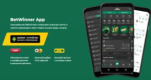 Your Ultimate Guide to BetWinner Online Bookmaker Your Ultimate Guide to BetWinner Online Bookmaker